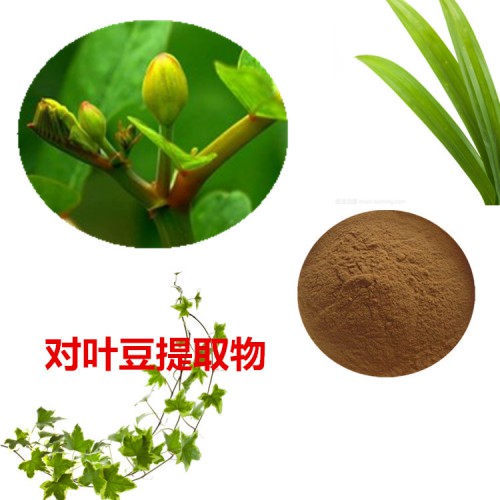 對葉豆提取物  對葉豆粉 對葉豆速溶粉 對葉豆浸膏粉