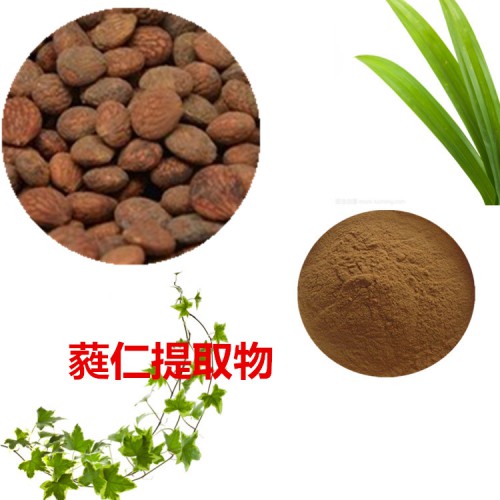 蕤仁提取物 蕤仁粉 蕤仁速溶粉 蕤仁浸膏粉