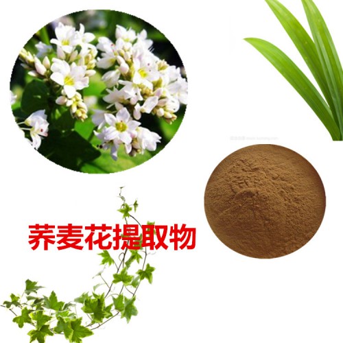 蕎麥花提取物  蕎麥花粉 蕎麥花速溶粉 蕎麥花浸膏粉