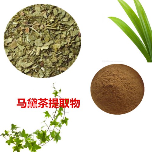 馬黛茶提取物  馬黛茶粉 馬黛茶速溶粉 馬黛茶浸膏粉