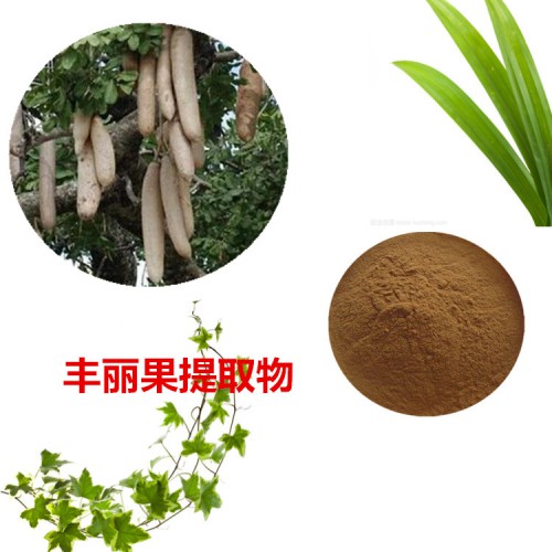 豐麗果提取物  豐麗果粉 豐麗果速溶粉 豐麗果浸膏粉