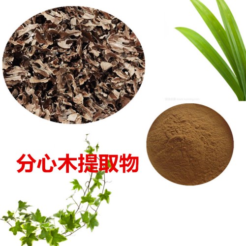 分心木提取物 分心木粉 分心木速溶粉 分心木浸膏粉