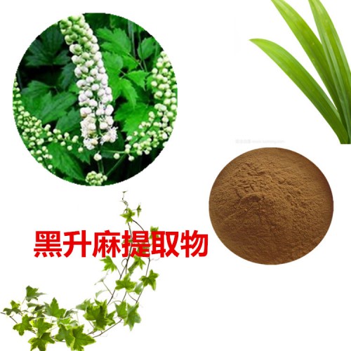 黑升麻提取物 10:1 黑升麻粉 黑升麻速溶粉