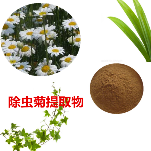 除蟲菊提取物 除蟲菊粉 除蟲菊速溶粉 除蟲菊浸膏粉