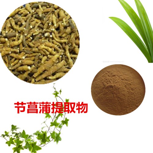 節菖蒲提取物 節菖蒲粉 節菖蒲速溶粉 節菖蒲浸膏粉
