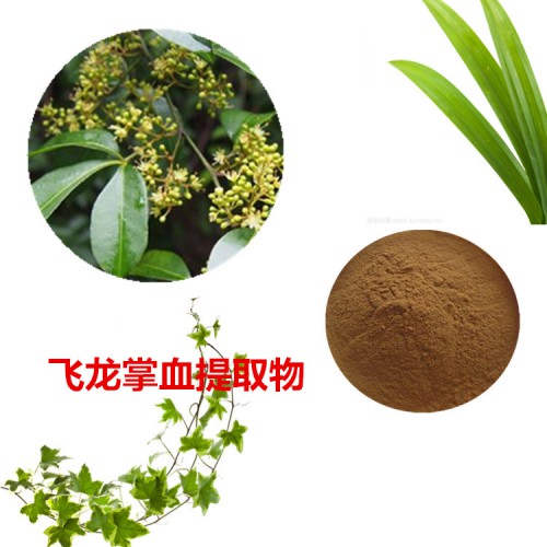 飛龍掌血提取物 飛龍掌血粉 飛龍掌血速溶粉