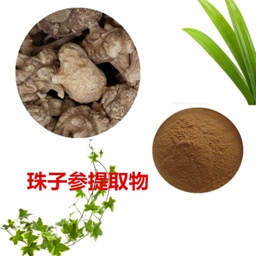 珠子參提取物 珠子參粉 珠子參速溶粉  珠子參浸膏粉