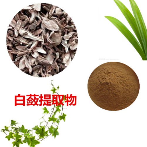 白蘞提取物 10：1  白蘞粉  白蘞速溶粉 白蘞浸膏粉