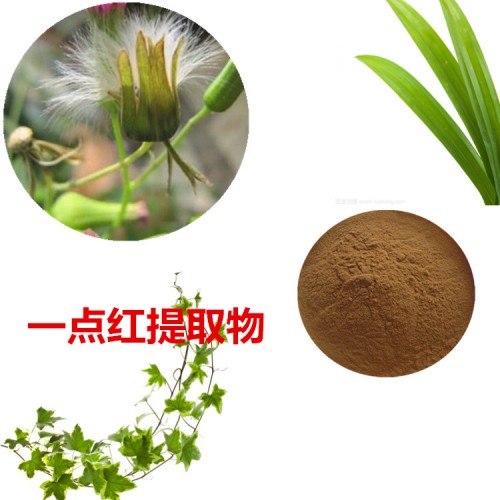 一點紅提取物 一點紅粉  一點紅速溶粉 一點紅浸膏粉