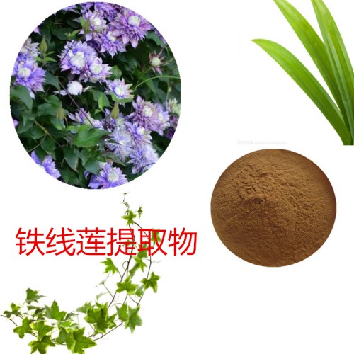 鐵線蓮提取物 鐵線蓮粉 鐵線蓮速溶粉  鐵線蓮浸膏粉
