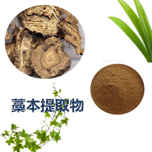 藁本提取物 藁本粉 藁本速溶粉 藁本浸膏粉