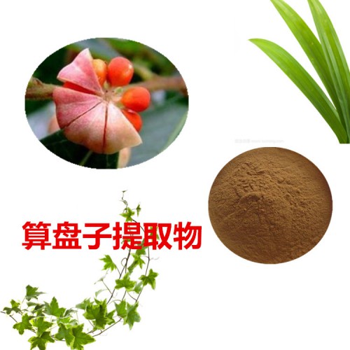 算盤子提取物 算盤子粉  算盤子速溶粉 算盤子浸膏粉