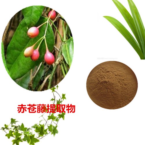 赤蒼藤提取物  赤蒼藤粉  赤蒼藤速溶粉 赤蒼藤浸膏粉