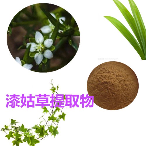 漆姑草提取物   漆姑草粉 漆姑草速溶粉 漆姑草浸膏粉