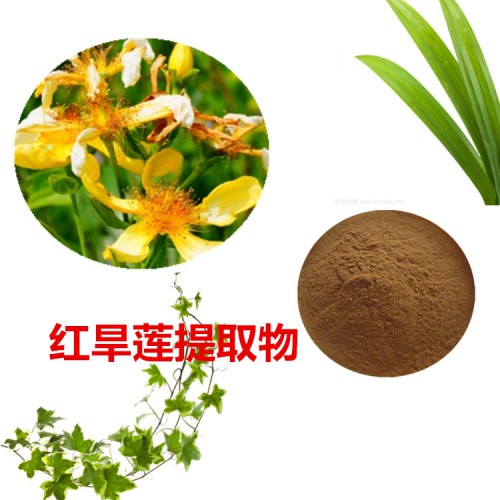 紅旱蓮提取物  紅旱蓮粉 紅旱蓮速溶粉 紅旱蓮浸膏粉