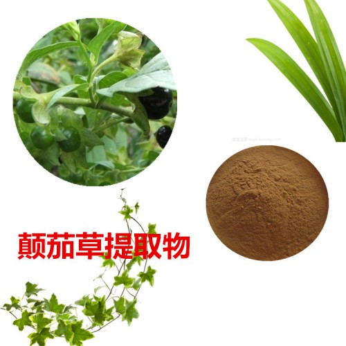 顛茄草提取物   顛茄草粉 顛茄草速溶粉 顛茄草浸膏粉