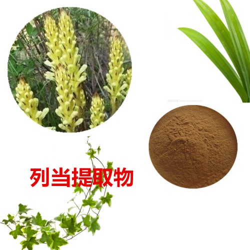 列當提取物 10：1  列當粉 列當速溶粉  列當浸膏粉