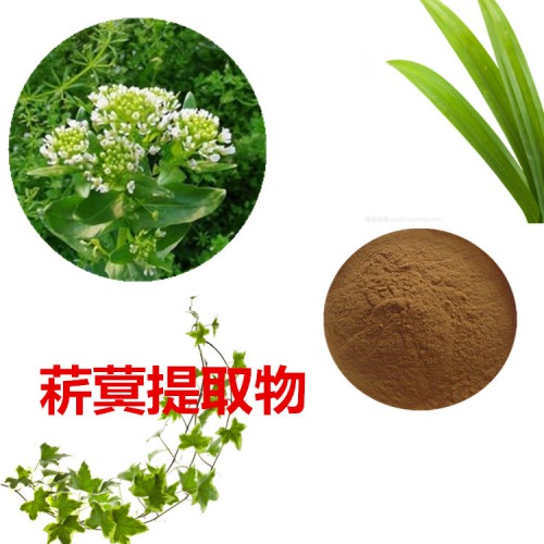 菥蓂提取物  菥蓂粉 菥蓂速溶粉  菥蓂浸膏粉