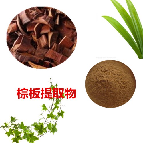 棕板提取物  棕板粉 棕板速溶粉 棕板浸膏粉