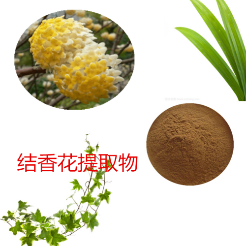結(jié)香花提取物   結(jié)香花粉 結(jié)香花速溶粉  結(jié)香花浸膏粉