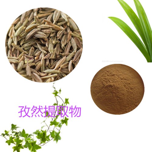 孜然提取物 10：1  孜然粉 孜然速溶粉 孜然浸膏粉
