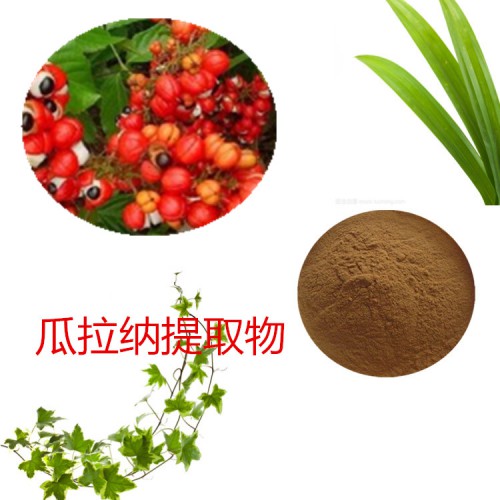 瓜拉納提取物   瓜拉納粉 瓜拉納速溶粉 瓜拉納浸膏粉