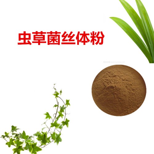 蟲草菌絲體粉 蟲草菌絲體提取物 發酵蟲草菌絲體粉