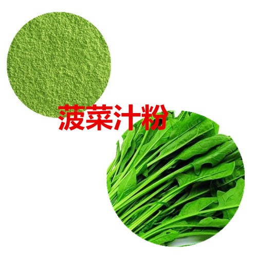 菠菜粉 菠菜汁粉 菠菜提取物 菠菜浸膏
