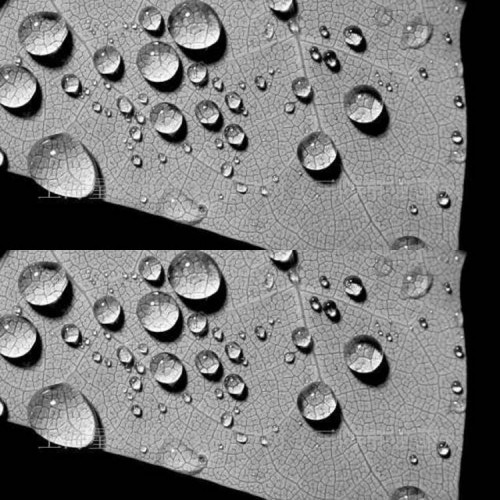 水泥基滲透結晶防水涂料  101砂漿防水劑 水泥基廠家