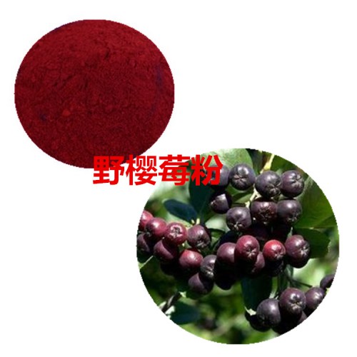 野櫻莓果粉 野櫻莓速溶粉 野櫻莓提取物 野櫻莓浸膏