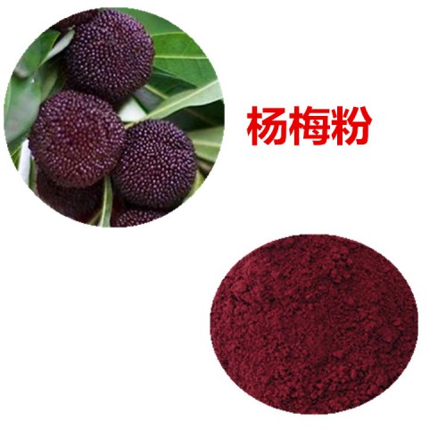 楊梅粉 楊梅速溶粉 楊梅提取物 楊梅浸膏