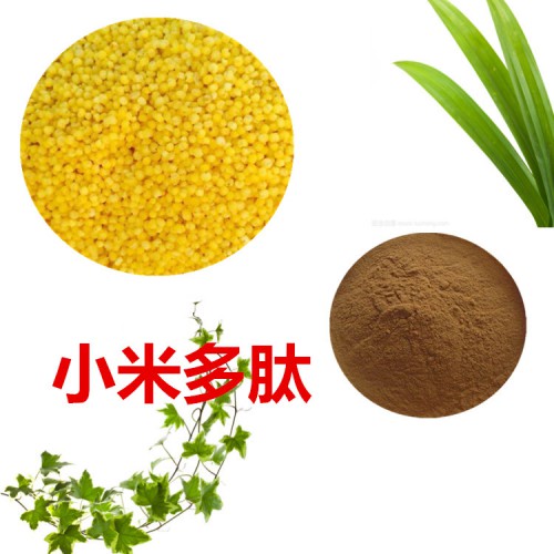 小米多肽  小米小分子肽  小米蛋白 小米肽粉