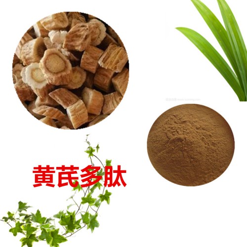 黃芪多肽 黃芪小分子肽  黃芪蛋白 黃芪蛋白肽