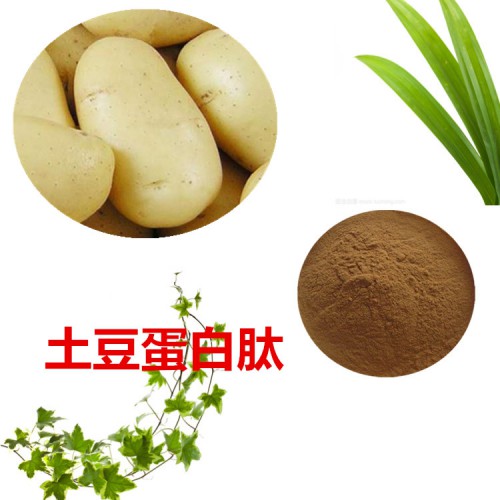 土豆多肽 土豆小分子肽  土豆蛋白 土豆蛋白肽