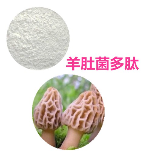 羊肚菌多肽 羊肚菌小分子肽  羊肚菌蛋白 羊肚菌蛋白肽