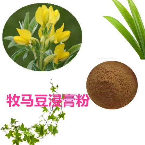 牧馬豆浸膏粉 牧馬豆提取物 牧馬豆提取液 牧馬豆粉