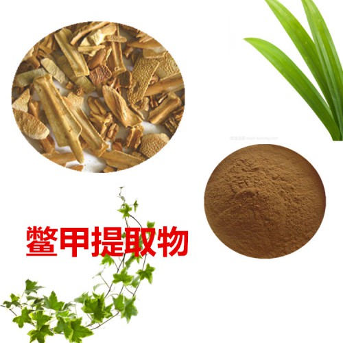 鱉甲浸膏粉  鱉甲提取物  鱉甲粉  鱉甲提取液