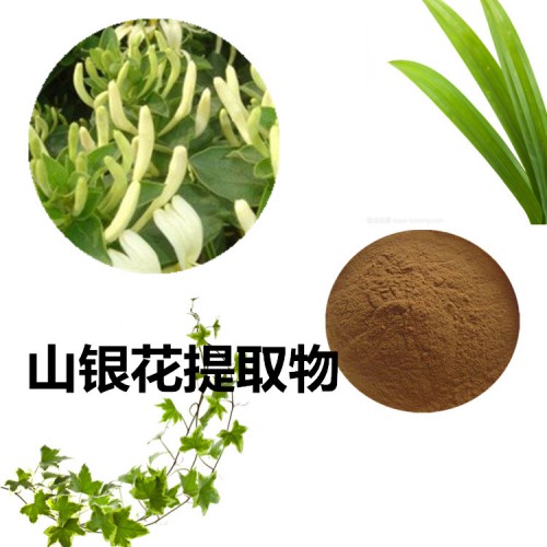 山銀花浸膏粉 山銀花提取物  山銀花粉 山銀花提取液