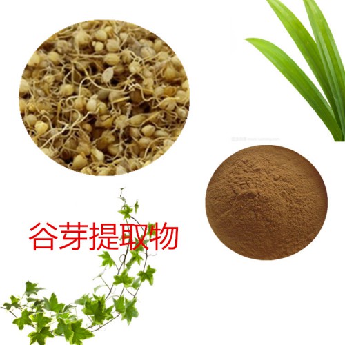 谷芽浸膏粉 谷芽提取物 水提  谷芽粉 谷芽提取液