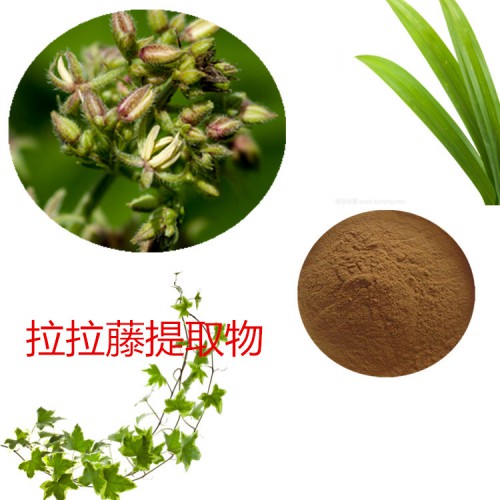 拉拉藤浸膏粉 拉拉藤提取物 拉拉藤粉 拉拉藤提取液
