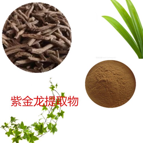 紫金龍浸膏粉 紫金龍提取物 紫金龍粉 紫金龍提取液