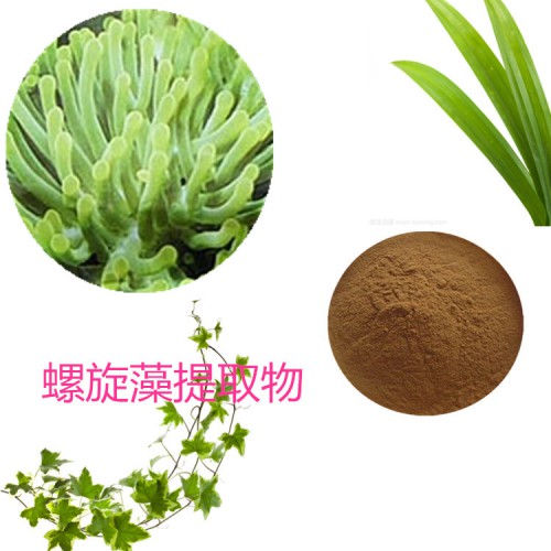螺旋藻浸膏粉 螺旋藻提取物  螺旋藻粉 螺旋藻提取液