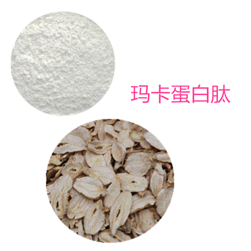 瑪卡蛋白 瑪卡蛋白肽 瑪卡多肽 瑪卡小分子肽