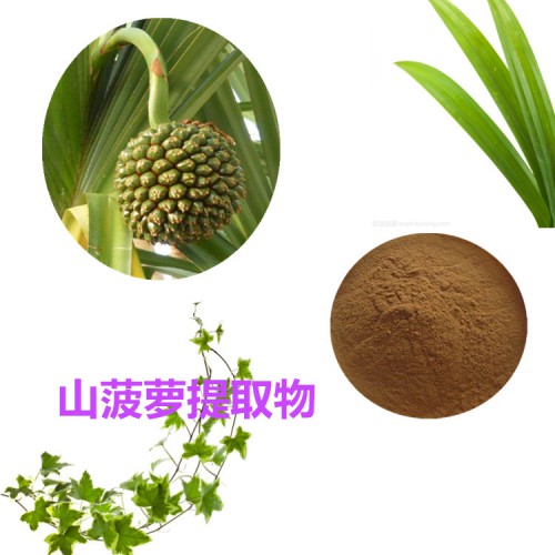 山菠蘿提取物 山菠蘿粉 山菠蘿速溶粉 山菠蘿浸膏粉