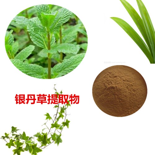 銀丹草提取物 銀丹草粉 銀丹草速溶粉 銀丹草浸膏粉