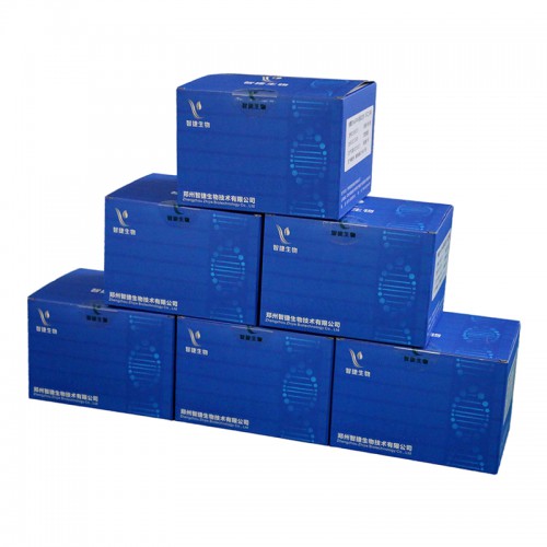 核酸提取或純化試劑 未分裝試劑