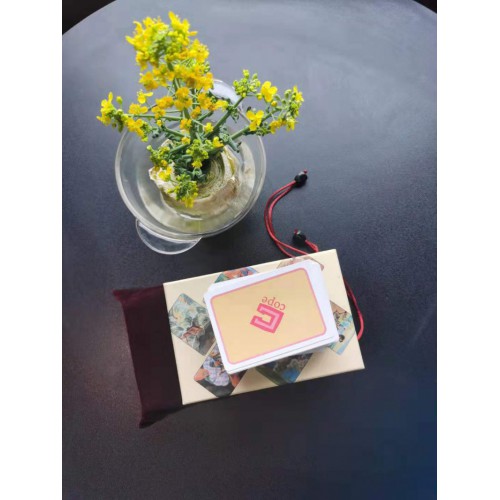 心理實戰培訓20節課（心理小白實戰訓練營）