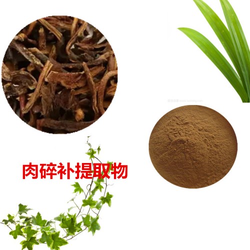 肉碎補提取物  肉碎補粉  肉碎補速溶粉  肉碎補浸膏粉