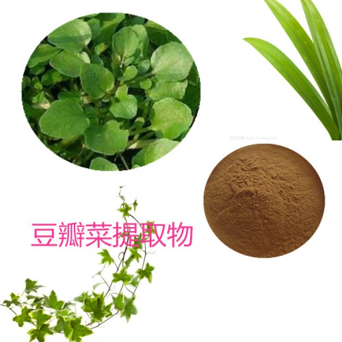 豆瓣菜提取物  豆瓣菜粉 豆瓣菜速溶粉 豆瓣菜浸膏粉