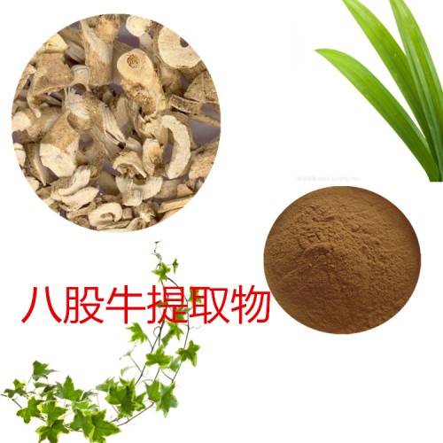 八股牛提取物 八股牛粉 八股牛速溶粉  八股牛浸膏粉